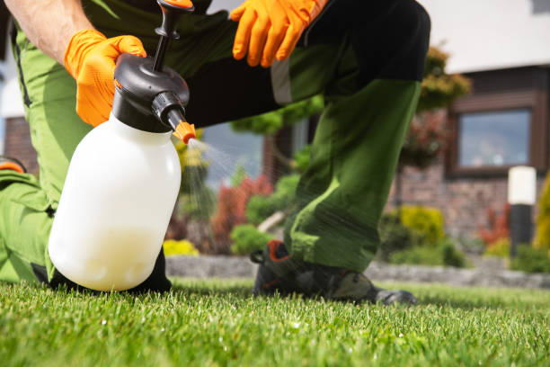 Best Wildlife Control Services  in Wailua Homesteads, HI