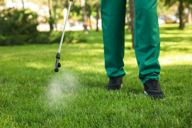 Best Mosquito Control Services  in Wailua Homesteads, HI