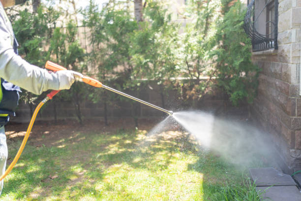 Best Pest Prevention Services  in Wailua Homesteads, HI