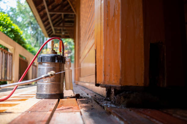 Best Affordable Pest Control Services  in Wailua Homesteads, HI